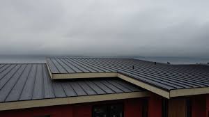 Best Hot Roofs  in Brandon, SD